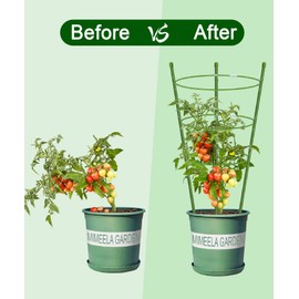 4 Pack Garden Plant Support Tomato Cage, Upgrade 24" Trellis for Climbing Plants, Plant Trellis Kits with 4 Self Watering Spikes and 20 Plant Clips (24")