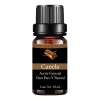 Alluem Aceite Esencial De Canela 100% Natural Y Puro Aromaterapia