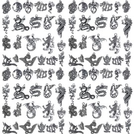 WILLBOND Dragon Charm Dragon Pendant for DIY Necklace Bracelet Jewelry Making Christmas Jewelry Crafting Supplies Charm Collections Skeleton Charms(Dragon Charms)