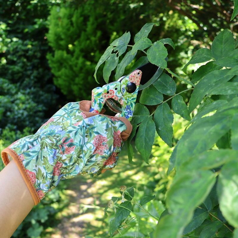 Secateurs - William Morris Jasmine Design