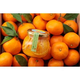 Mikkabi Mandarin Orange Honey 10.6 oz (300 g), Yodamari Farm, Honey Pickled in Shizuoka Prefecture