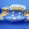 AZ FLAG - Canary Islands Flag - 2x3 Ft -