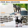 KOOLTAIL Anti Slip Dog Socks for Hot/Cold Pavement to Prevent