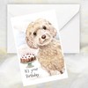 Cockapoo Dog Birthday Card, Cockapoo Dog Greetings Card, Cockapoo Dog.