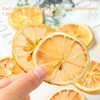 Whitejianpeak Dried Lemon Slices 3.52 oz, Dehydrated Lemon for Cocktails