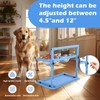 SHAINFUN Blue Raised Dog Bowl Stand with Two 1700ml Stainless