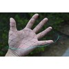 LINSOCLE 2.1 m x 30 m Bird Nets Bird Protection