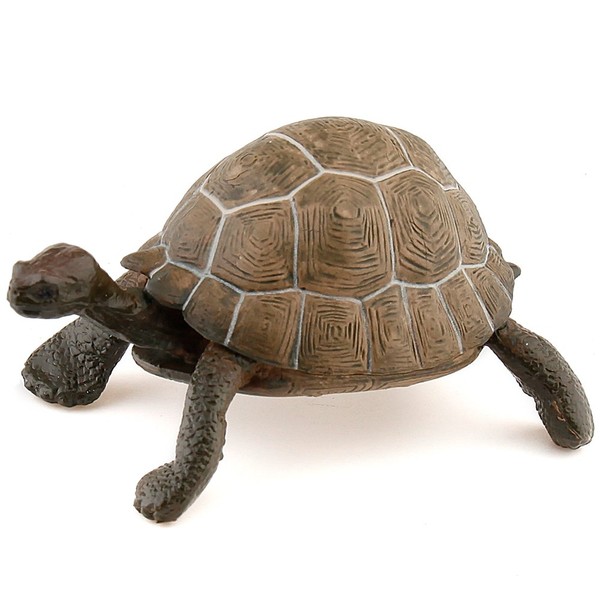 Papo Tortoise Figure Multicolor