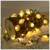 Haosonw Lemon Decor String Lights, 10FT 40 LED Lemon Decorative