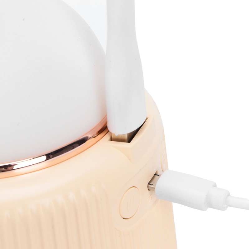 Mini Humidifiers Lovely Cartoon Style Humidifying Device with Light for