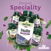 Natures Aid Inulin Powder, 250 g (from Chicory Root, 100%