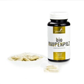 Caterpillar Mushroom Powder Organic - Cordyceps Sinensis Mushroom Powder Capsules Pack of 120 - No China Import, Organic Production - Made in Austria