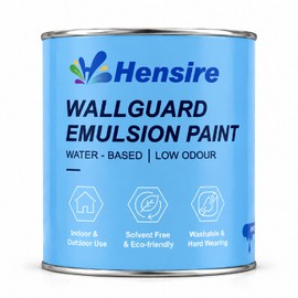 Hensire White Exterior Wall Paint for Concrete & Masonry, 17oz