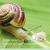 Orange Care Baba de Caracol Face Cream with Snail Slime,