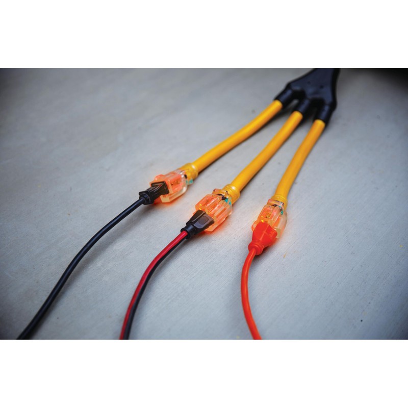 Champion Power Equipment 2 ft. 30A 250V Generator Adapter Cord