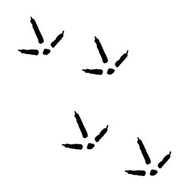 Designer Signs Turkey Track Decals - Set of 12