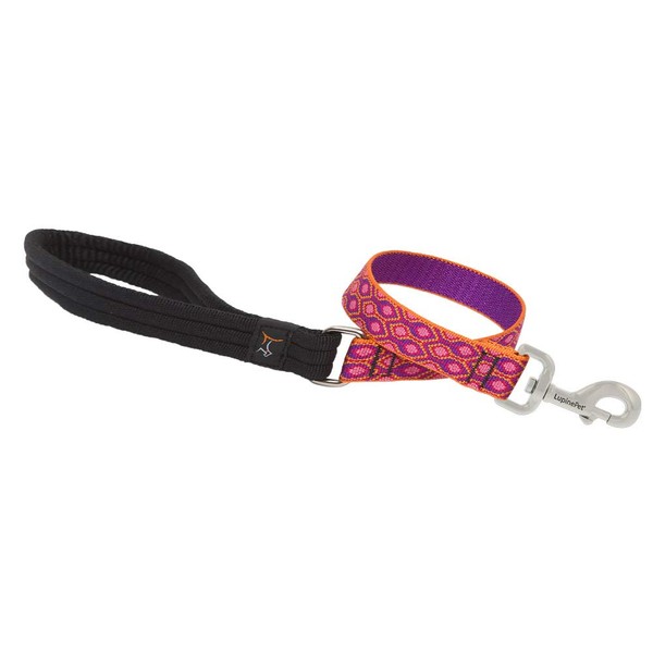LupinePet Originals 1" Alpen Glow 2-Foot Traffic Lead/Leash for Medium and Larger Dogs