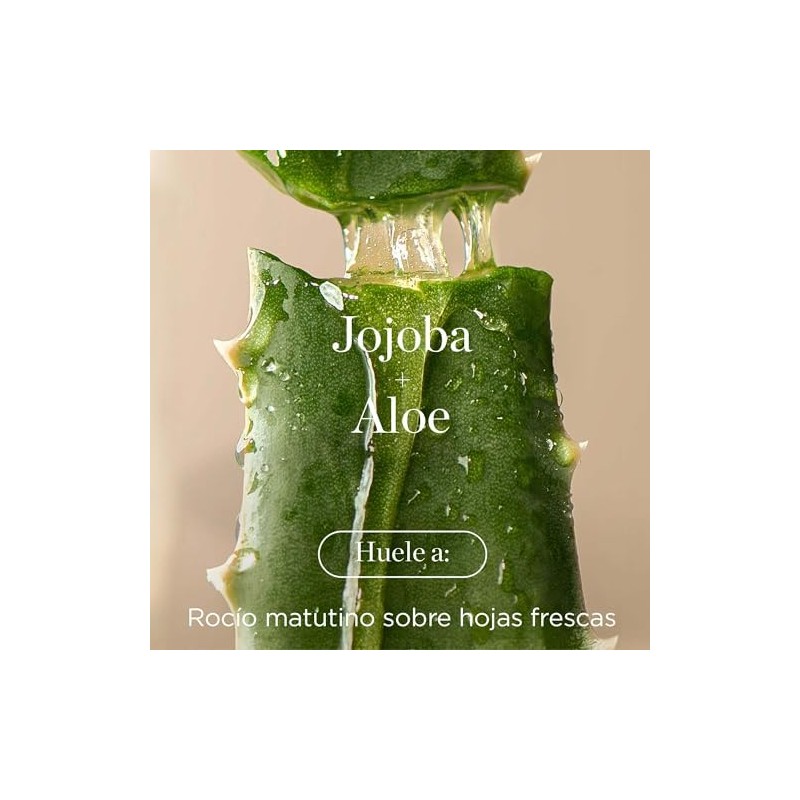 RAW SUGAR, The Scalp Restore Shampoo, Jojoba y Aloe, Limpia