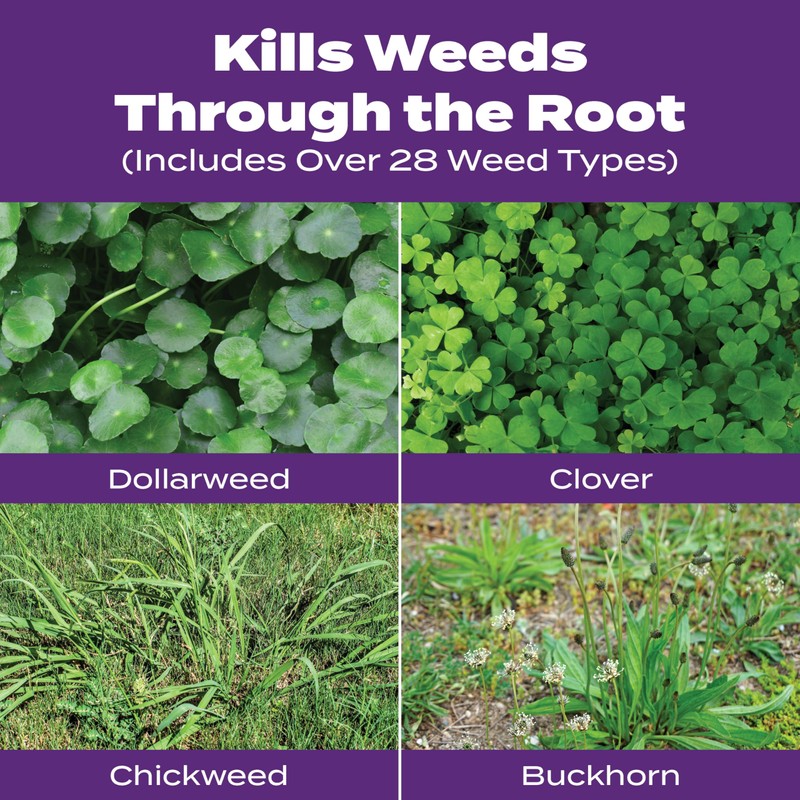 Scotts Turf Builder Bonus S Southern Weed & FeedF2 -