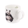 Royal Worcester Bamboozled (Panda)
