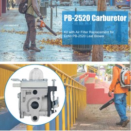 Eamonhigh PB2520 Leaf Blower Carburetor Replacement for Echo PB2520, A021004700 Carb Tune Up Kit with Spark Plug and Filter