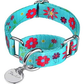 Dazzber Martingale Collars for Dogs, Adjustable, Heavy-Duty, Soft, Smooth, Easy Dog Walking, for Large/Small Dogs