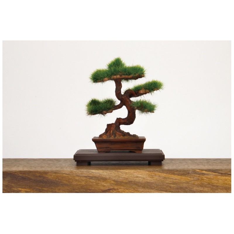 プラッツ 1/12 ザ・盆栽 肆 プラモデル BON-04