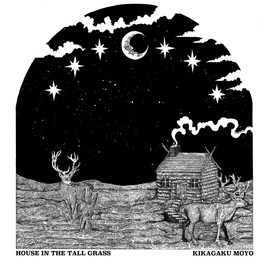 House In The Tall Grass [VINYL]
