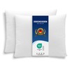 Zollner 114 Set of 2 Microfibre Cushions Various Sizes Washable