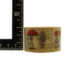 MT Washi MTEX1P42 - Cinta de carrocero (30 mm x