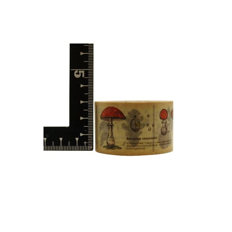 MT Washi MTEX1P42 - Cinta de carrocero (30 mm x