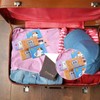 100 Pack Travel Size Tissue Pocket Tissues Mini Travel Tissues