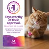 SmartyKat (2 Count Tea Teazers Catnip Cat Toys - Pink/Orange,