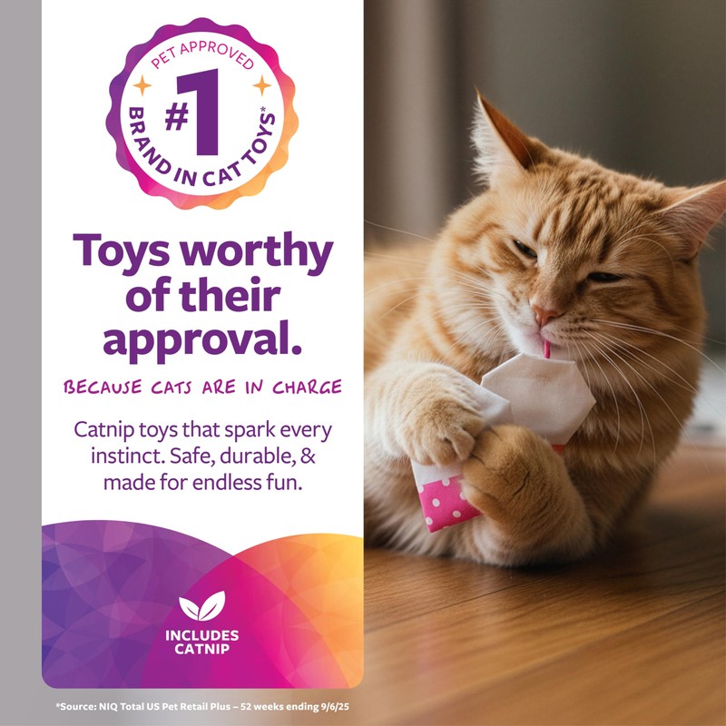 SmartyKat (2 Count Tea Teazers Catnip Cat Toys - Pink/Orange,