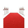 Red Carpet Runner for Party, 3' x 10' Extra Thick