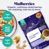 Navitas Organics Mulberries, 8 oz. Bag, 8 Servings — Organic,