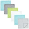 Hudson Baby Baby Rayon Burpcloth 6pk, Gray Mint Lime, One