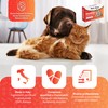 DiarBlock Rapid Antidiarroico ad azione immediata per cani e gatti.