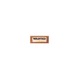 Paleta Wanted Trendbeauty Wanted
