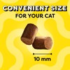 Temptations Meaty Bites Soft and Savory Cat Treats Tuna Flavor,