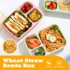 4 Pack Bento Box Lunch Boxes, BPA-Free Reusable Snack Box