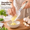 Manual Ginger Grater for Garlic & Produce – Compact ABS