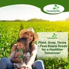 Outsidepride Annual Fava Beans Seeds - 1 lb. High-Protein Forage