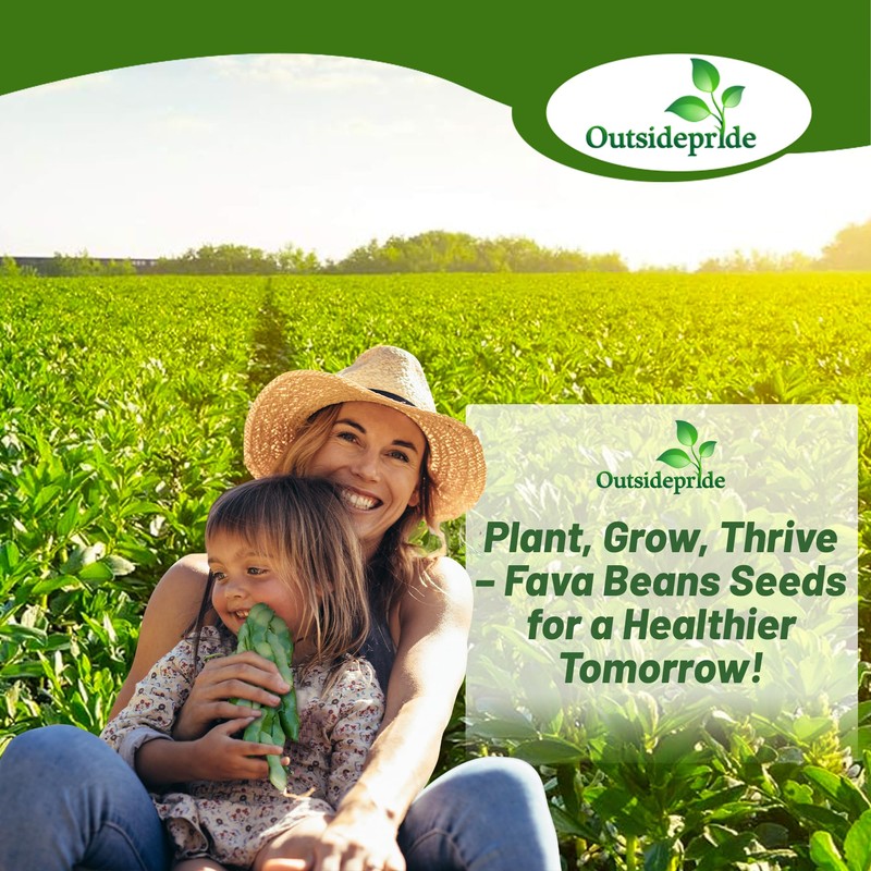 Outsidepride Annual Fava Beans Seeds - 1 lb. High-Protein Forage