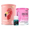 Birdman Fitmingo 510g Creatina Refresher Complejo B 660mg