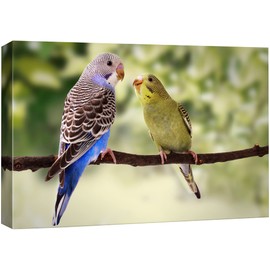 SIGNFORD Canvas Print Wall Art Blue and Green Parakeets in Tree Animals Wilderness Photography Realism Contemporary Closeup Relax/Calm Multicolor Ultra for Living Room, Bedroom, Office - 12x18