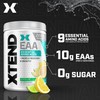 Scivation Scivation XTEND EAA + BCAA Powder | Muscle Recovery