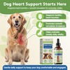 Young Heart for Dogs, DogHeart Support Drops with Hawthorn &