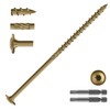 SG TZH #14 x 6 Inch Lag Screws (48Pcs) 2lb.