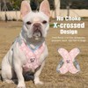 Pawaboo Small Dog Harness and Leash Set, Puppy Harness X-Frame